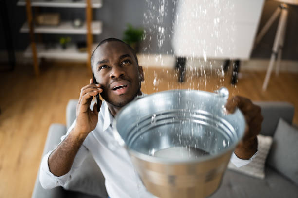 Best Water damage restoration insurance claims  in Ankeny, IA