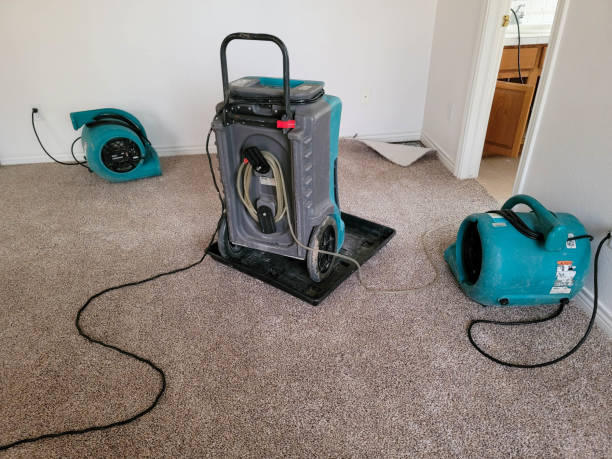 Best Water damage restoration near me  in Ankeny, IA