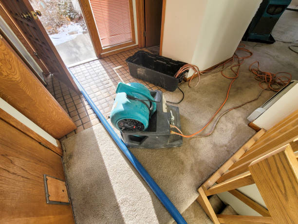 Best Residential water damage restoration  in Ankeny, IA