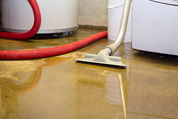 Best Water damage restoration near me  in Ankeny, IA