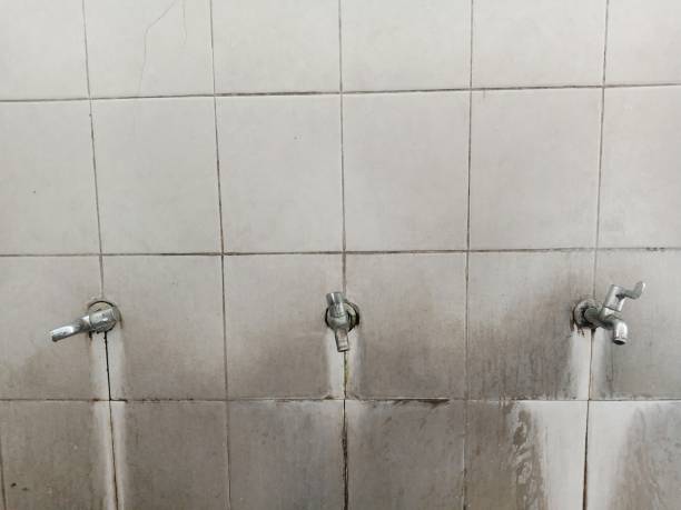 Best Fire Damage Restoration  in Ankeny, IA