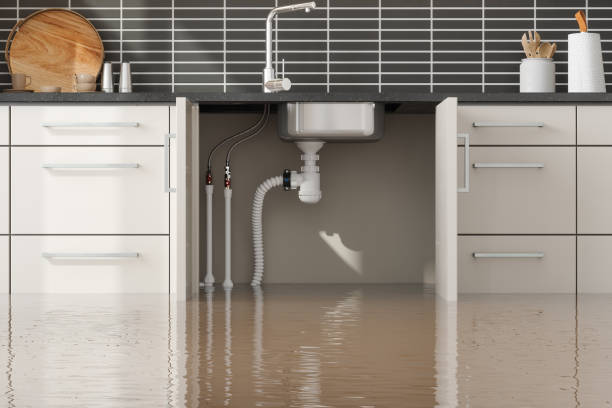 Best Ceiling water damage repair  in Ankeny, IA